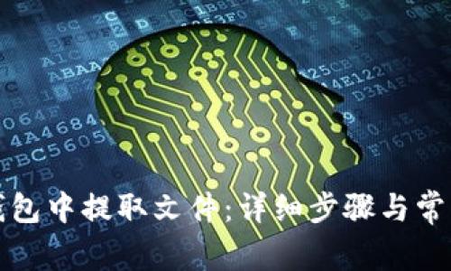 如何从TP钱包中提取文件：详细步骤与常见问题解答