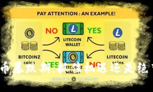 加密货币暴跌期：抓住机遇还是绝望逃离？