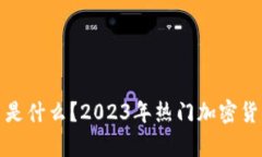 加密货币是什么？2023年热门加密货币全解析