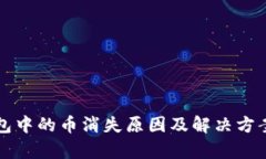TP钱包中的币消失原因及解决方案解析