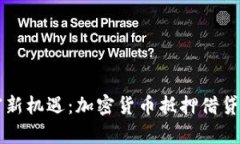 解锁财富新机遇：加密货币抵押借贷全面解析