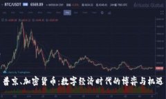 普京、加密货币：数字经济时代的博弈与机遇