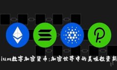 牛肉ium数字加密货币：加密世界中的美味投资新