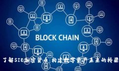 了解SIE加密货币：构建数字资产未来的桥梁