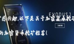 很高兴你对加密货币挖矿感兴趣。以下是关于加