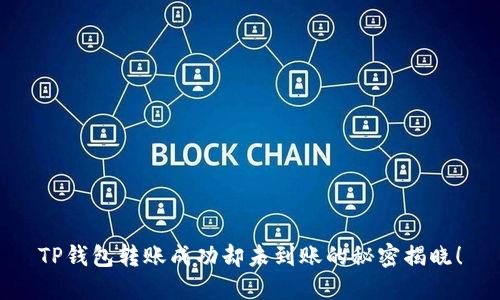 TP钱包转账成功却未到账的秘密揭晓！