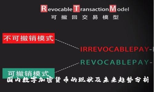 国内数字加密货币的现状及未来趋势分析