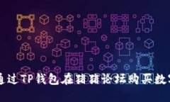 如何通过TP钱包在猪猪论坛购买数字货币