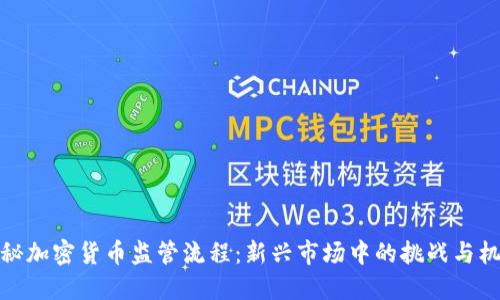 揭秘加密货币监管流程：新兴市场中的挑战与机遇