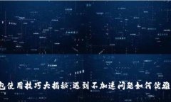 TP钱包使用技巧大揭秘：遇到不加速问题如何优雅