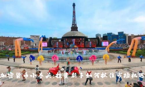 加密货币小拳头：投资新手如何抓住市场机遇