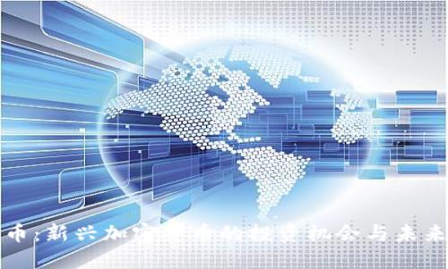 熊猫币：新兴加密货币的投资机会与未来趋势