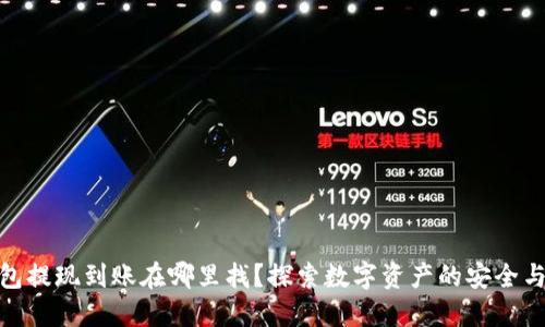 TP钱包提现到账在哪里找？探索数字资产的安全与便捷