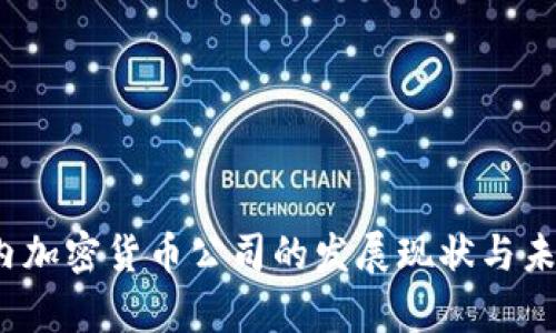 2023年国内加密货币公司的发展现状与未来趋势分析