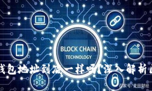 Token.im和TP钱包地址到底一样吗？深入解析区块链钱包概念