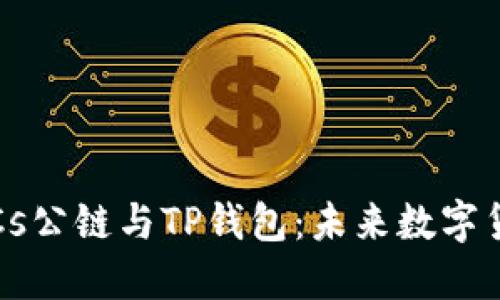 探索中本聪币BTCs公链与TP钱包：未来数字货币的安全新选择