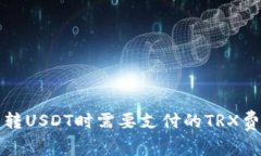 TP钱包转USDT时需要支付的TRX费用详解