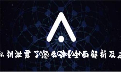 TP钱包私钥泄露了怎么办？全面解析及应对措施