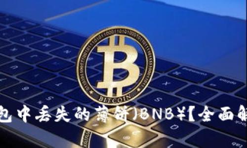 如何找回TP钱包中丢失的薄饼（BNB）？全面解析与解决方案