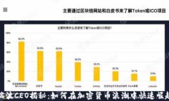 瑞波CEO揭秘：如何在加密货币浪潮中快速崛起