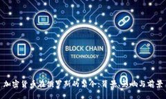 加密货币在俄罗斯的禁令：背景、影响与前景