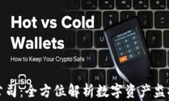 加密货币追踪公司：全方位解析数字资产监控与