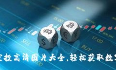 :加密货币空投高清图片大全，轻松获取数字资产