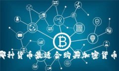 哪种货币最适合购买加密货币？