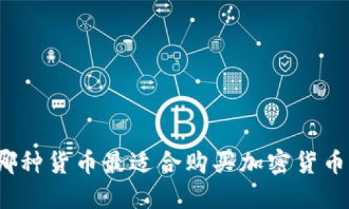 哪种货币最适合购买加密货币？