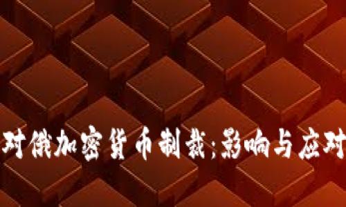 美欧对俄加密货币制裁：影响与应对措施