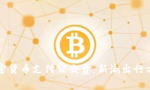 如何用加密货币支付公交费：新潮出行方式的探索
