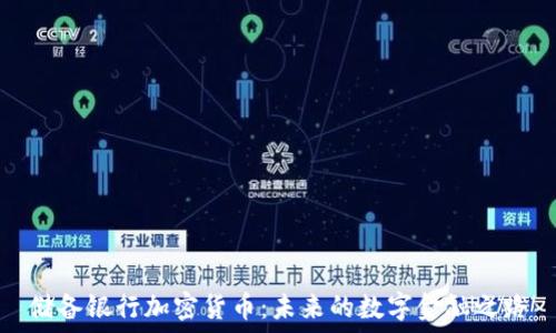  
储备银行加密货币：未来的数字金融之路