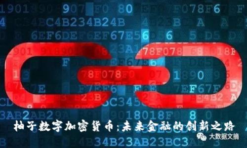 柚子数字加密货币：未来金融的创新之路