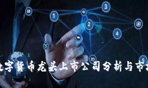 加密数字货币龙头上市公司分析与市场前景