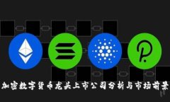 加密数字货币龙头上市公司分析与市场前景
