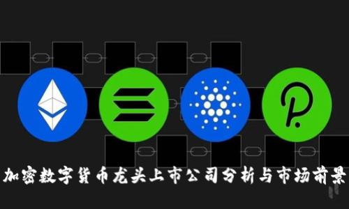 加密数字货币龙头上市公司分析与市场前景