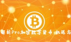 全面解析Pro加密数字货币：机遇与挑战