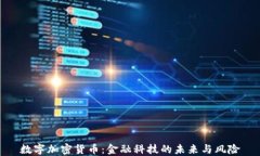 数字加密货币：金融科技的未来与风险